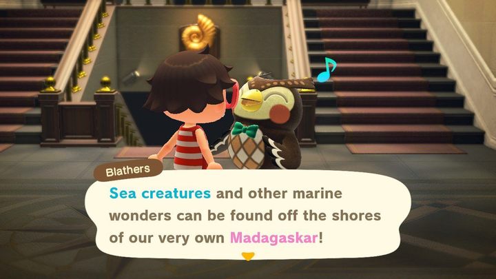 Blathers chętnie przyjmie wszystkie morskie stworzenia, jakie do niego przyniesiecie. - ACNH: Morskie stworzenia - jak łapać? - Animal Crossing New Horizons - poradnik do gry