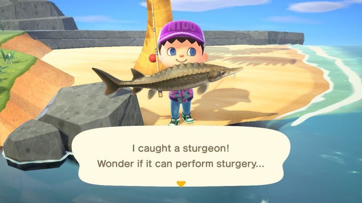 Nie to ma jak satysfakcja ze złapania rzadkiego okazu - a w bonusie sucharek! - ACNH: Ryby - jak łowić? - Animal Crossing New Horizons - poradnik do gry