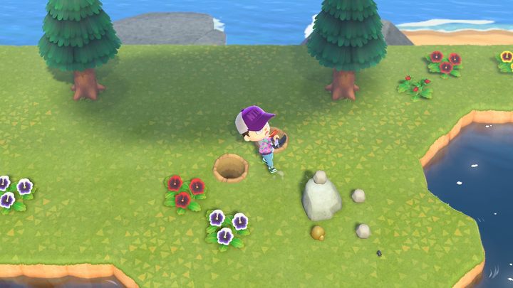Oto jeden z poprawnych sposobów na walenie łopatą w kamienie. - ACNH: Bells - jak szybko zarabiać? - Animal Crossing New Horizons - poradnik do gry