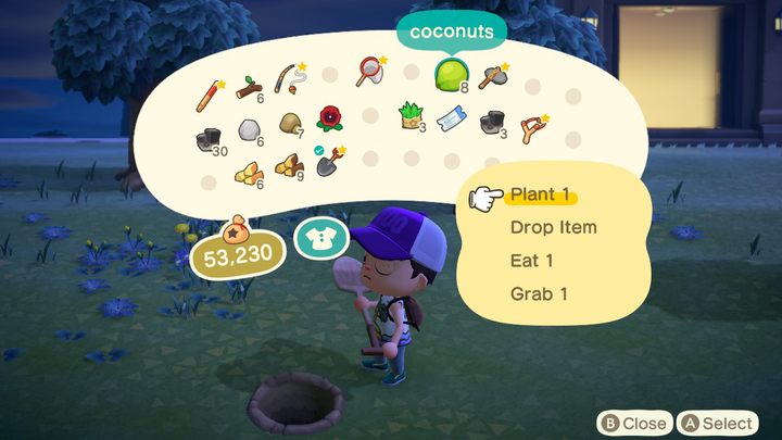 Kokosa wyrośnie tylko na plaży. - ACNH: Inne owoce - jak zdobyć? Wszystkie drzewa owocowe - Animal Crossing New Horizons - poradnik do gry