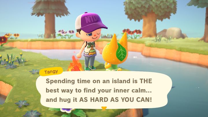 Możemy chcieć rozpocząć zabawę z Animal Crossing New Horizons z różnych powodów - ACNH: Usunięcie wyspy - jak zacząć od nowa? - Animal Crossing New Horizons - poradnik do gry