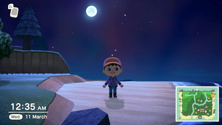 W nocy złapiesz inne owady czy ryby niż w dzień. - Animal Crossing New Horizons - poradnik do gry