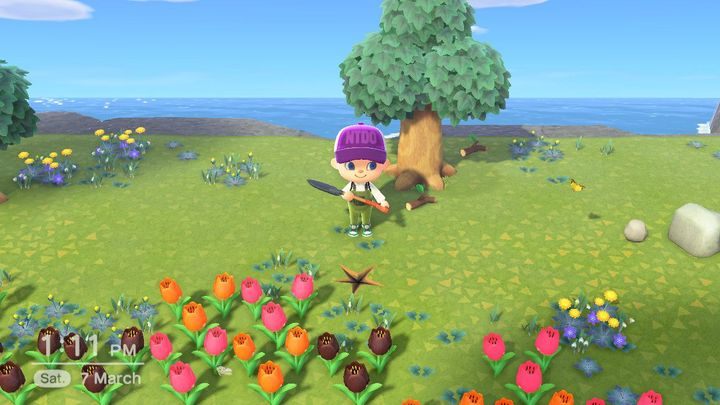 Szukajcie skamielin! - ACNH: Czynności, rutyny - co warto robić codziennie? - Animal Crossing New Horizons - poradnik do gry