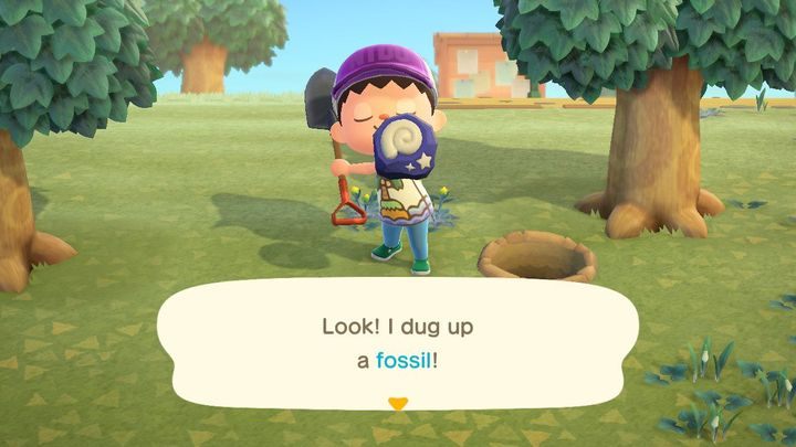 Sukces! - ACNH: Skamieliny/fossils - skąd wziąć? - Animal Crossing New Horizons - poradnik do gry