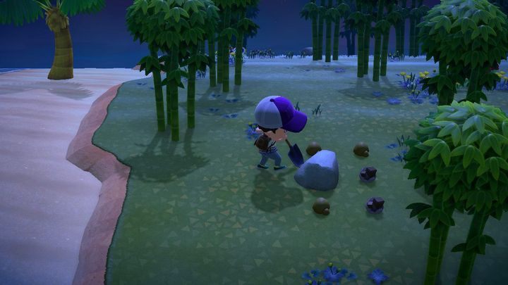 To zależy od Twojego szczęścia i tego, ile czasu spędzisz w grze - ACNH: Pająk tarantula - jak go złapać? - Animal Crossing New Horizons - poradnik do gry