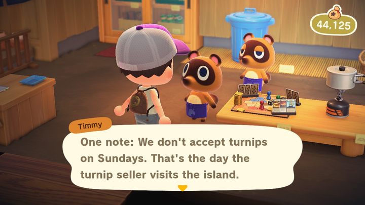 Oto bracia. - ACNH: Timmy i Tommy - co robią, gdzie znaleźć? - Animal Crossing New Horizons - poradnik do gry