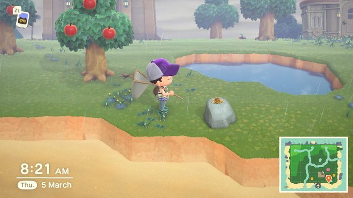 Ślimak, ślimak, pokaż rogi! - ACNH: Porady na start - Animal Crossing New Horizons - poradnik do gry