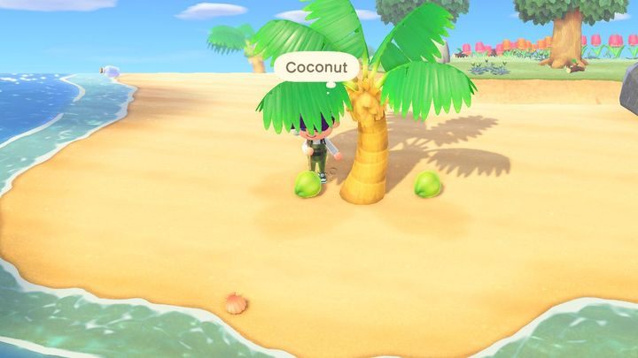 Drzewa to źródło ważnych zasobów: owoców, drewna czy patyków. - ACNH: Porady na start - Animal Crossing New Horizons - poradnik do gry