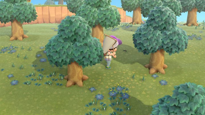 Do płochliwych owadów musisz się zakraść. - ACNH: Owady - jak łapać? - Animal Crossing New Horizons - poradnik do gry