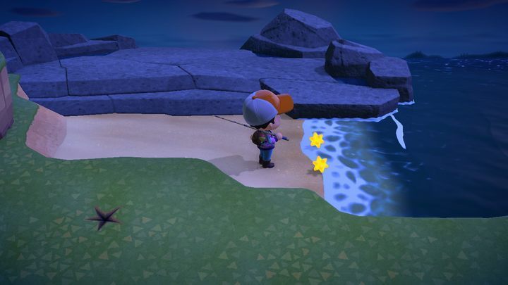 Oto fragmenty gwiazd. - ACNH: Spadające gwiazdy - jak zdobyć fragmenty? - Animal Crossing New Horizons - poradnik do gry