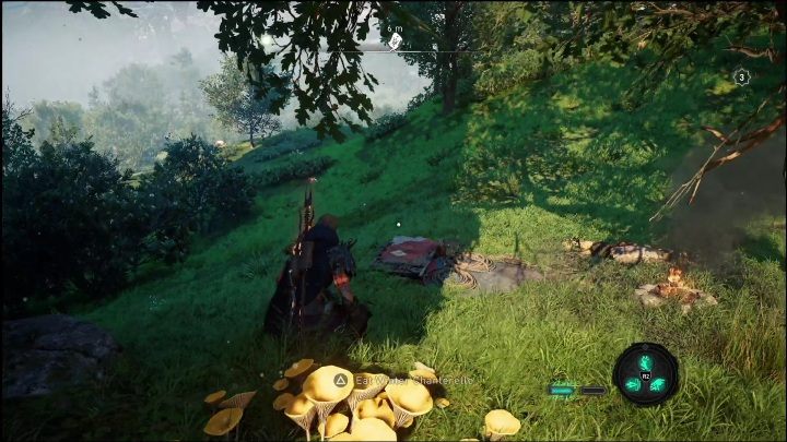 Schemat leży na niewielkiej łące, zaraz obok niewielkiego drzewa - AC Valhalla Świt Ragnaroku: Schemat ozdobny (Vangrinn) - lista wszystkich - Assassins Creed Valhalla - poradnik do gry