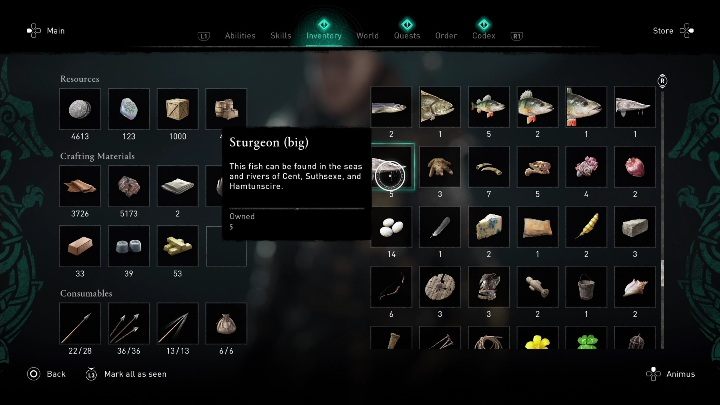 2 - AC Valhalla Gniew Druidów: Ołtarz ofiarny - Meath, sekrety, lokacje - Assassins Creed Valhalla - poradnik do gry