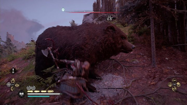 Najprawdopodobniej niedźwiedź pojawił się w innym punkcie, najczęściej na wzgórzu, dokładnie nad areną do walki - Assassins Creed Valhalla: Legendarne zwierzę - Sciropescire, sekrety, lokacje - Assassins Creed Valhalla - poradnik do gry
