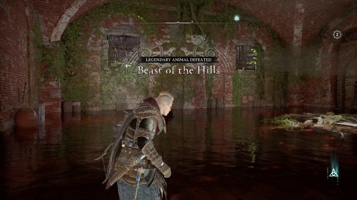 Aby jednak lokacja zaliczyła się musisz wrócić na arenę do walki - Assassins Creed Valhalla: Legendarne zwierzę - Sciropescire, sekrety, lokacje - Assassins Creed Valhalla - poradnik do gry