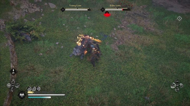 Do tego przeciwnika udaj się z pełną pulą punktów zdrowia, wypełnionym leczeniem oraz w pełni uzupełnionymi punktami adrenaliny - Assassins Creed Valhalla: Legendarne zwierzę - Hamtunscire, sekrety, lokacje - Assassins Creed Valhalla - poradnik do gry