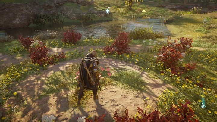 Na tej mapie natrafisz na jedną lokację z muchomorem, opisaliśmy tę zagadkę na oddzielnej stronie - Assassins Creed Valhalla: Hamtunscire - mapa - Assassins Creed Valhalla - poradnik do gry
