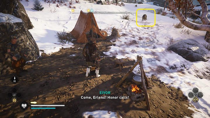 Nieopodal jego obozu spotkasz kilka wilków walczących z niedźwiedziami polarnymi - Assassins Creed Valhalla: W pogoni za honorem/The Hunt for Honor - solucja - Assassins Creed Valhalla - poradnik do gry