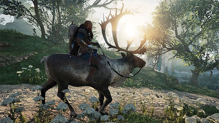 W trakcie pobytu w Asgardzie będziesz korzystał z alternatywnego wierzchowca - Assassins Creed Valhalla: Czy można mieć własnego zwierzaka (pet)? - Assassins Creed Valhalla - poradnik do gry