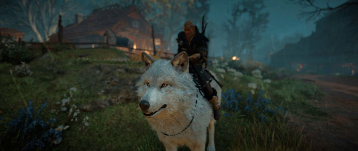 Jeżeli posiadasz edycję Ultimate gry lub zakupioną paczkę Berserker Pack (jest ona sprzedawana za 1500 Helix Credits w sklepie gry), możesz korzystać z ogromnego wilka - wierzchowca o imieniu Hati - Assassins Creed Valhalla: Czy można mieć własnego zwierzaka (pet)? - Assassins Creed Valhalla - poradnik do gry