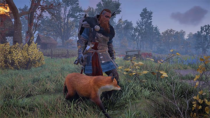 W regionie Oxenefordscire Eivor może zaprzyjaźnić się z lisem - Assassins Creed Valhalla: Czy można mieć własnego zwierzaka (pet)? - Assassins Creed Valhalla - poradnik do gry