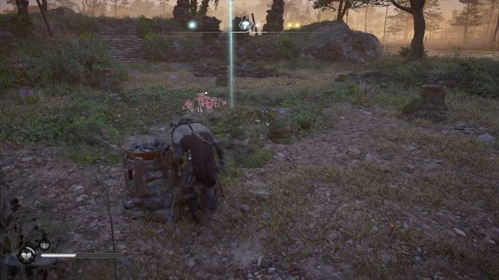 Muchomory znajdziesz w północnej części regionu, dokładnie pod Klasztorem na Wyspie Ely - Assassins Creed Valhalla: Muchomor - Grantebridgescire, sekrety, lokacje - Assassins Creed Valhalla - poradnik do gry