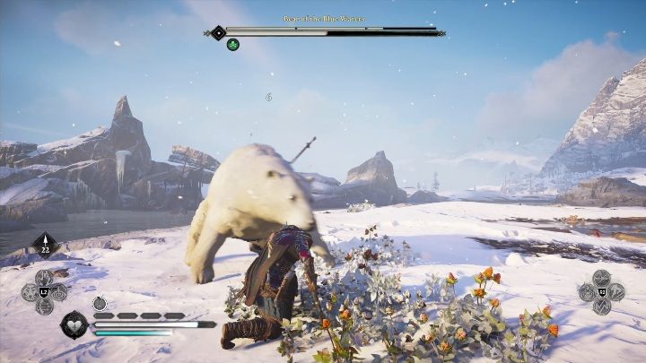 Czułym punktem niedźwiedzia są jego plecy, w które ma wbity nóż - Assassins Creed Valhalla: Legendarne zwierzę - Hordafylke, sekrety, lokacje - Assassins Creed Valhalla - poradnik do gry