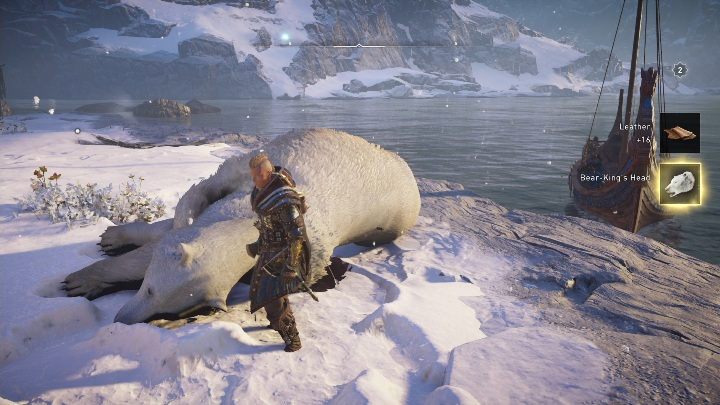 Za pokonanie zwierzęcia otrzymasz jego głowę oraz 16 skór - Assassins Creed Valhalla: Legendarne zwierzę - Hordafylke, sekrety, lokacje - Assassins Creed Valhalla - poradnik do gry