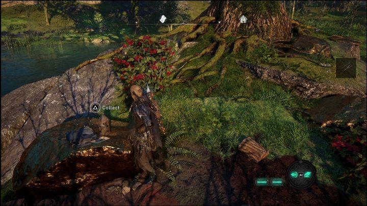 Ten schemat leży na niewielkiej skale, zaraz obok dużego drzewa - AC Valhalla Świt Ragnaroku: Schemat ozdobny (Svaladal) - lista wszystkich - Assassins Creed Valhalla - poradnik do gry