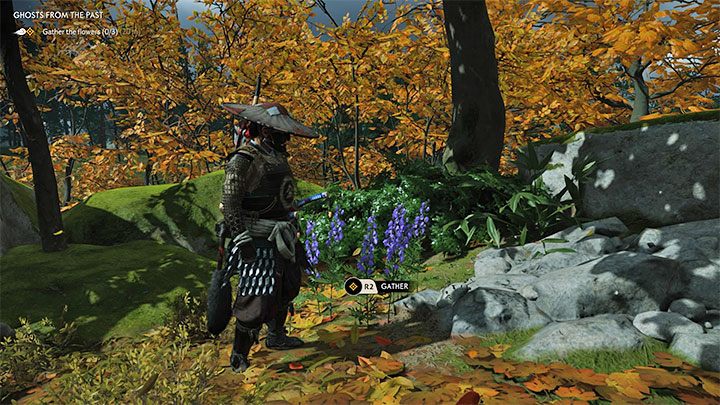 Po wysłuchaniu nowej rozmowy z Yuriko wskocz na konia i zacznij za nią podążać - Ghost of Tsushima: Duchy przeszłości (Ghosts from the Past) solucja - Ghost of Tsushima - poradnik do gry
