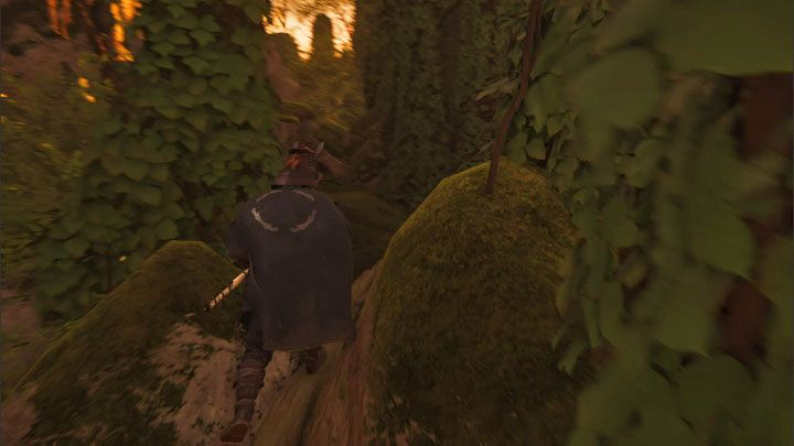 Wdrapcie się na drzewo i od razu obróćcie się w lewo - Ghost of Tsushima Iki Island: Kapliczka Nakajima (Nakajima Shrine) - Ghost of Tsushima - poradnik do gry