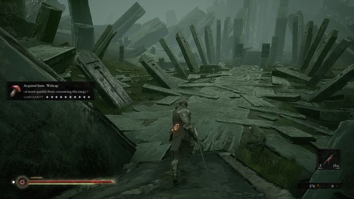 Eredrim charakteryzuje się największą ilością zdrowia spośród wszystkich możliwych do zdobycia Shell - Mortal Shell: Shells - Mortal Shell - poradnik do gry
