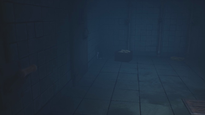 Lokalizacja: Rozdział 3, w łazience - Little Nightmares 2: Widmowe szczątki, rozdział 3 Szpital - lista wszystkich - Little Nightmares 2 - poradnik do gry