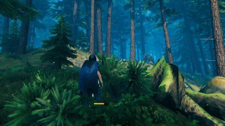 Gęsty las sosnowy. - Valheim: Twarde drewno/Core Wood - skąd wziąć? - Valheim - poradnik do gry