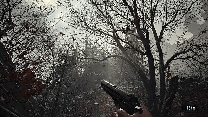 Do zabicia rzadkiego ptaka możecie użyć snajperki lub podejść bliżej i skorzystać ze zwykłego pistoletu - Resident Evil Village: Składnik Juicy Game - jak zdobyć? - Resident Evil Village - poradnik do gry
