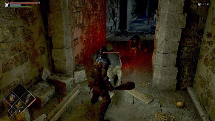 Idąc do przodu, ponownie powalczycie z wilkami - Demons Souls Remake: Ścieżka Pana (1-2) - solucja, opis przejścia - Demons Souls Remake - poradnik do gry