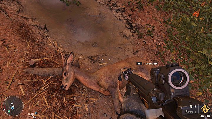 W trakcie polowań starajcie skradać się żeby nie wypłoszyć zwierzęcia ani go nie zaalarmować (jeśli to drapieżnik) - Far Cry 6: Polowania na zwierzęta, łowienie ryb - Far Cry 6 - poradnik do gry