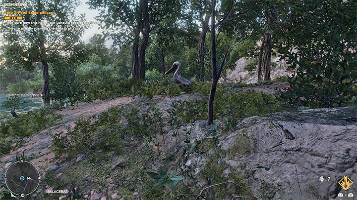 W ramach drugiego wyzwania musicie nakarmić złowionymi rybami 3 pelikany - Far Cry 6: Terapia wstrząsowa (Shock Therapy) - solucja, opis przejścia - Far Cry 6 - poradnik do gry