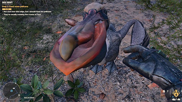 Unikajcie oczywiście atakowania pelikanów i ignorujcie też pelikany, które pływają na wodzie - Far Cry 6: Terapia wstrząsowa (Shock Therapy) - solucja, opis przejścia - Far Cry 6 - poradnik do gry