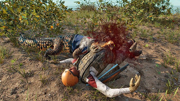 Guapo to amigo bojowy, tak więc idealnie sprawdza się do atakowania przeciwników - Far Cry 6: Guapo - Amigo - Far Cry 6 - poradnik do gry