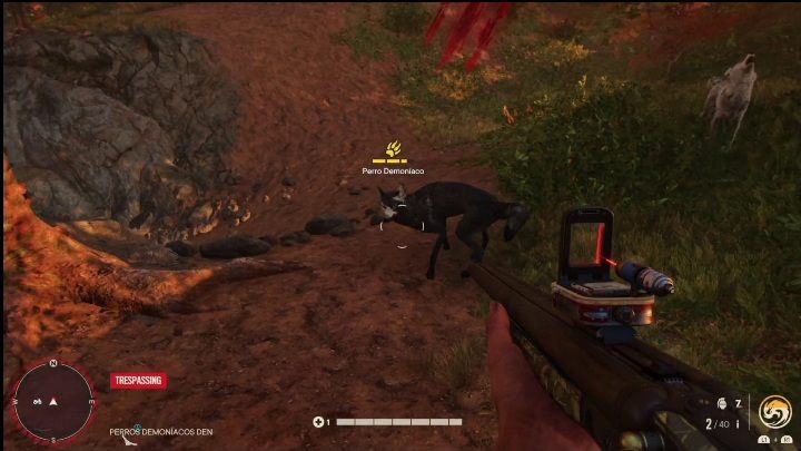 Czarny Demoníaco (Black Demoníaco) żyje w lesie, razem z innymi wilkami - Far Cry 6: Czarny Demoníaco - lokacja, jak pokonać mityczne zwierzę? - Far Cry 6 - poradnik do gry