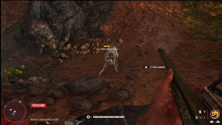 Xxx (White Demoníaco) żyje w lesie, razem z innymi wilkami - Far Cry 6: Biały Demoníaco - lokacja, jak pokonać mityczne zwierzę? - Far Cry 6 - poradnik do gry