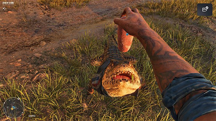 Sposób odblokowania: Pogłaszcz Guapo - Far Cry 6: Trofea/Osiągnięcia - lista - Far Cry 6 - poradnik do gry