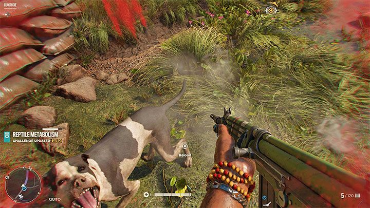 Niestety w wielu sytuacjach w grze możecie natrafić na wrogo nastawione psy, które będą próbowały zagryźć sterowaną postać - Far Cry 6: Zabijanie psów - czy jest konieczne? - Far Cry 6 - poradnik do gry