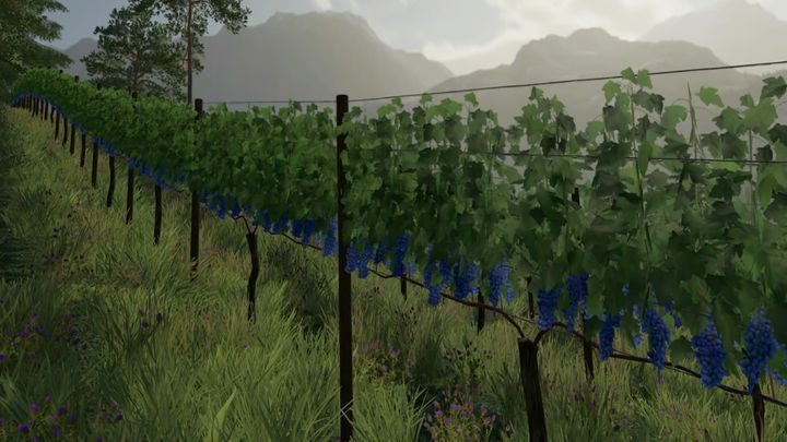 Oliwki i winogrona przynależą do łańcuchów produkcyjnych - Farming Simulator 22: Sadownictwo - Farming Simulator 22 - poradnik do gry