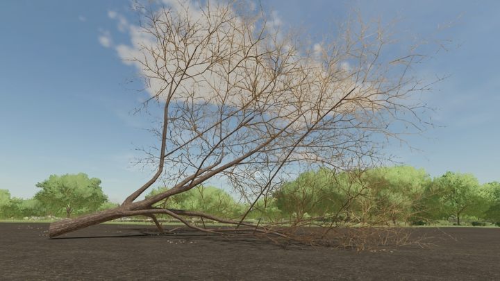 Совет: деревья следует вырубать зимой - Farming Simulator 22: Вырубка деревьев и удаление пней - Farming Simulator 22 - Руководство по игре