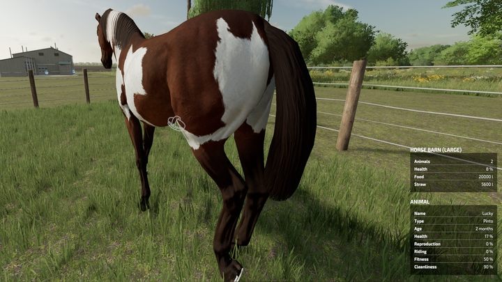 После катания лошадь грязная - за это отвечает параметр "Чистота" - Farming Simulator 22: Лошади - разведение, советы - Farming Simulator 22 - руководство по игре