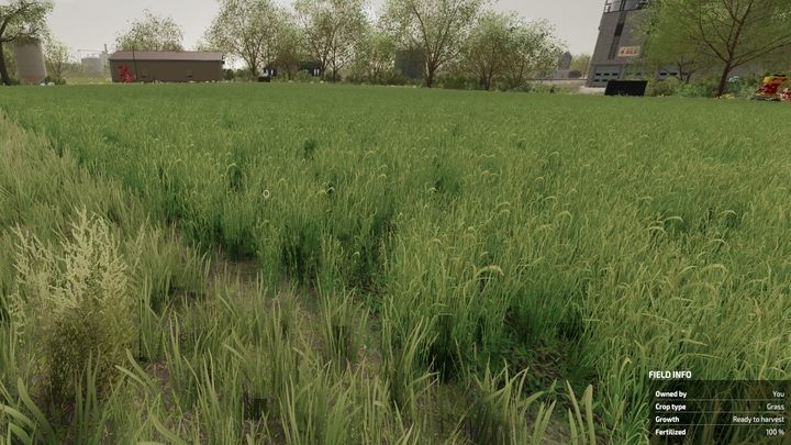 Trawę możecie posiać na dowolnym polu - Farming Simulator 22: Sianie i koszenie trawy - Farming Simulator 22 - poradnik do gry
