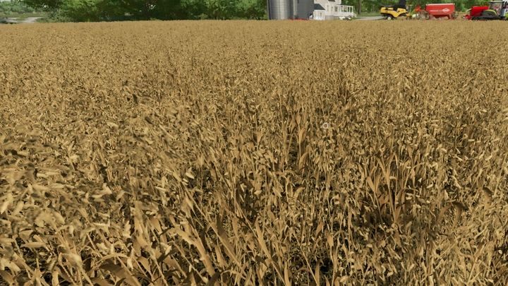 Owies chcecie siać szczególnie, gdy posiadacie konie - jest to ich główny pokarm - Farming Simulator 22: Zboża - pszenica, owies, jęczmień, sorgo - Farming Simulator 22 - poradnik do gry