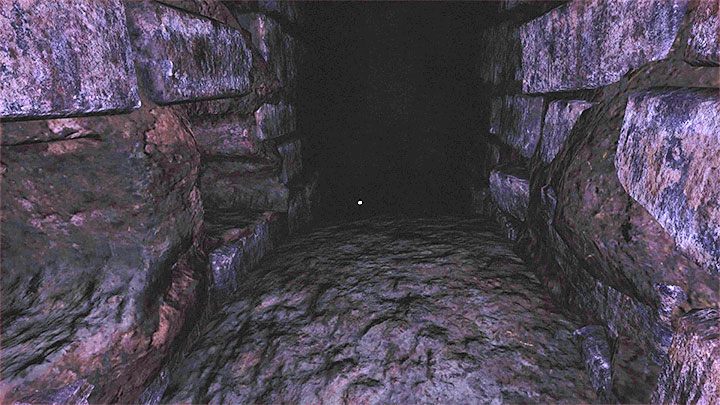 W grze Amnesia Rebirth główna bohaterka odwiedza wiele lokacji, które są słabo oświetlone oraz takich, w których panują kompletne ciemności - Amnesia Rebirth: Ciemności - jak się poruszać? - Amnesia Rebirth - poradnik do gry