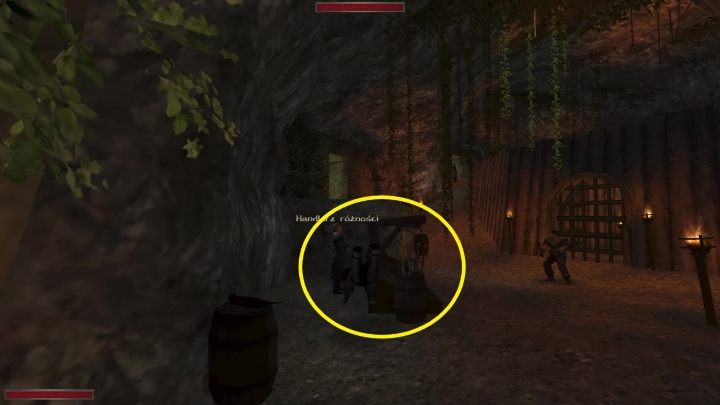 Najłatwiej dostępnym kompletem jest ten pirata - Kroniki Myrtany: Lista wszystkich osiągnięć - Kroniki Myrtany - poradnik do gry